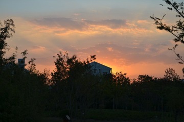 DSC_4528.JPG