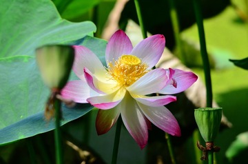 DSC_6932.JPG