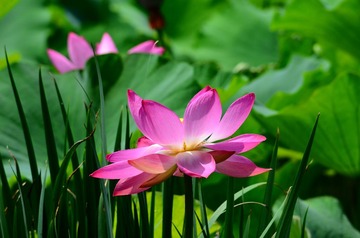 DSC_6964.JPG