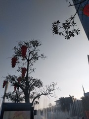 170032