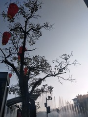 170029