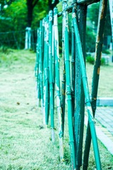 76A8230E-4DD3-48F4-B616-AA4390F84A59/L0/001