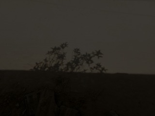 1376147