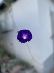 F4AB4F62-1AB2-44C4-8CAD-5BCE05D38998/L0/001