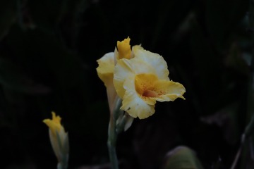 9464DEB9-F159-4D27-B890-BF6B985201D5/L0/001