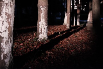 FFF7FE58-FDDB-474D-9AF8-AD9D56F8533F/L0/001