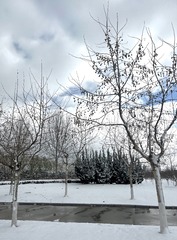 2DFE0E1A-E839-4309-BA10-B52E68CD7082/L0/001