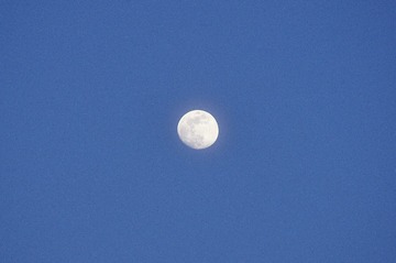 BD2645EA-2BD1-4226-8D22-B286EA799587/L0/001