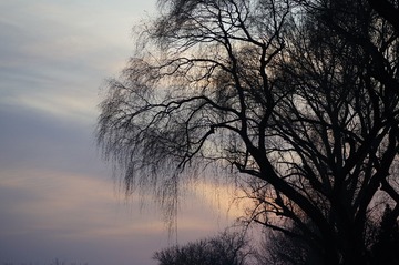 F38AD79B-1666-4690-A531-CC3F85FAAAA8/L0/001