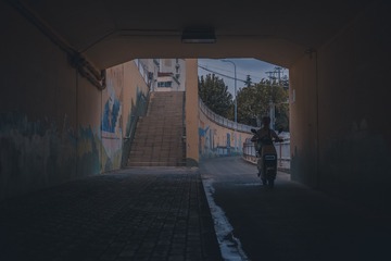 64481