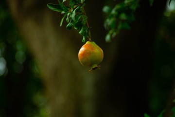 E5BA5B0B-B5EE-4C34-8790-25CA645E10D6/L0/001