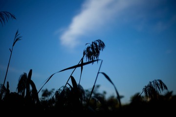 9C336F24-1F8D-41F5-8612-199A68DE3892/L0/001
