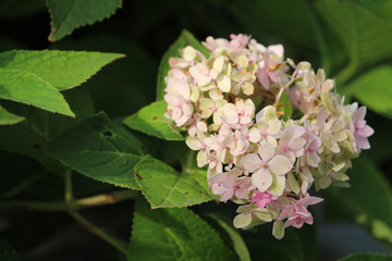 AA421BB1-8F12-45A7-B7EA-73FE4C92361B/L0/001