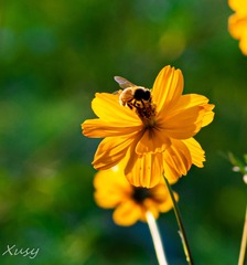 9335C1EA-137C-46EB-85B0-7039D4128690/L0/001