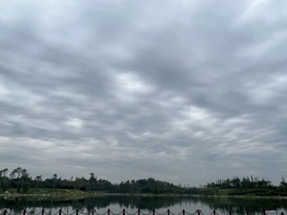 7296E516-C882-41D4-9676-11A580980EA4/L0/001