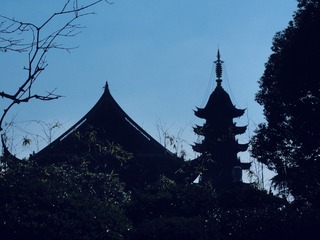 027D1AEC-431F-4D43-9D7E-D58F6ABDE9E2/L0/001
