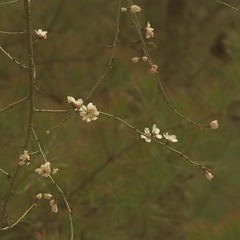 P3310077_