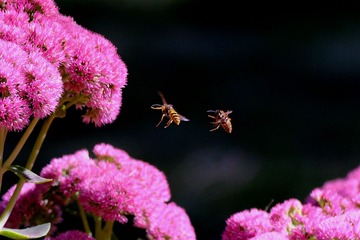 DSCF6098_副本