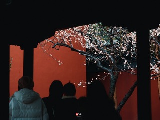D2B13812-A799-47FA-A494-2885874D4A63/L0/001