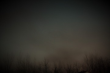 1303300