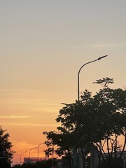 885EC9B5-0720-49D3-AA93-7EDCD03AA478/L0/001
