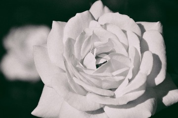 0C85F18E-2FFB-4AAB-8801-F44795DD194F/L0/001