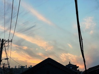 76375D9D-C5DD-4B93-86FD-057FA7A7F882/L0/001