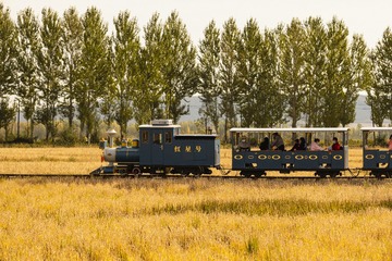 151742