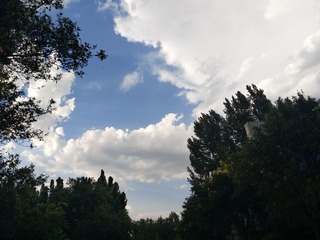 1611753