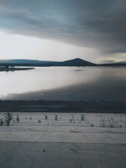 541