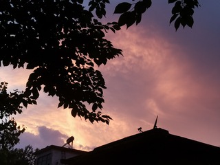 745D610A-C99D-48FB-B7B3-368C211829AD/L0/001