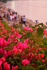 94981E94-D547-4024-B802-41BEE145DA42/L0/001