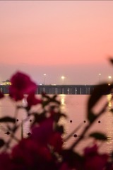 5A0397D1-9754-4D3A-B9DF-935B5983612C/L0/001