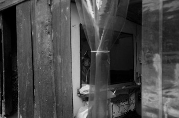 L1012905.jpg