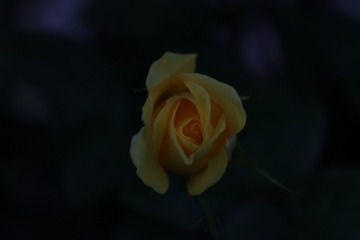 72E3843C-02FF-4BEE-A9FD-E64C47C259CC/L0/001