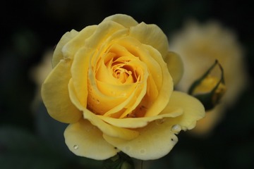 A4DDA7E0-A6C7-45B4-8160-7A976286752E/L0/001