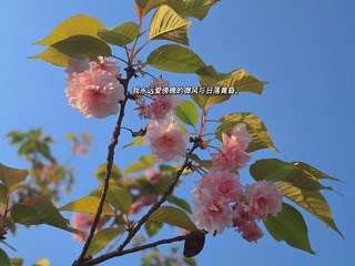 422BCDE4-500B-4534-B06D-5271CC4B836D/L0/001