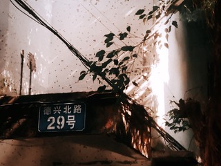 3545857