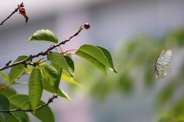 834FE5BD-52A5-463E-99D9-5C80F479F29D/L0/001