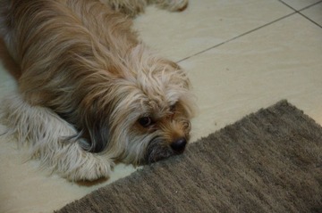 IMGP0002.JPG