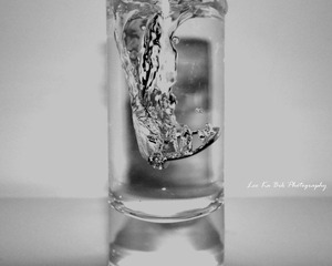DSC05788-4.jpg