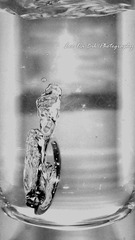 DSC05869-6.jpg