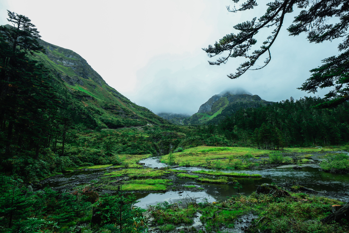 云南省迪庆州维西县南姐洛