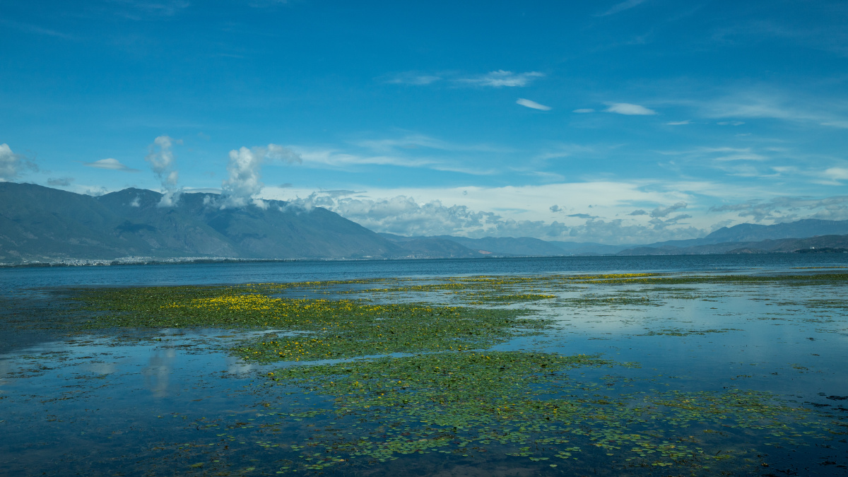 大理风光 - cobgbin1376 - 图虫