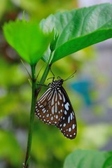 DSC_8037.jpg