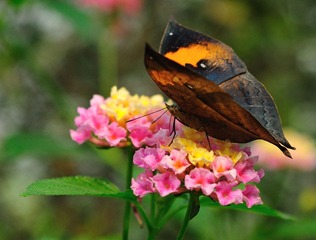 DSC_8059.jpg
