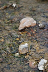 DSC_8652.jpg