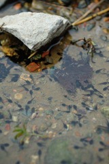 DSC_8659.jpg