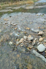 DSC_8663.jpg