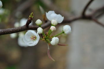 DSC_8670.jpg